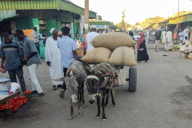 Economy another victim of war in impoverished Sudan