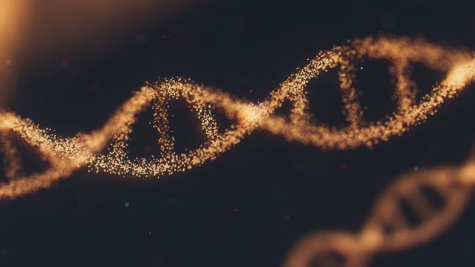 Angiodema: Gene therapy blocks painful hereditary disorder