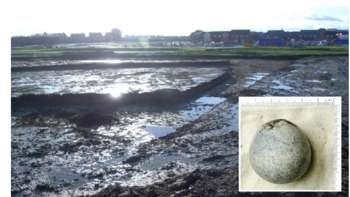 ‘World first’ intact Roman egg laid 1,700 years ago discovered by archaeologists