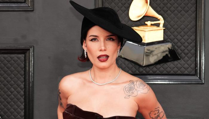 Halsey reveals illness, announces new album and shares new song 'The End'