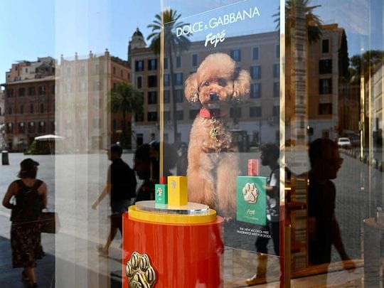 Dolce & Gabbana launches new perfume for dogs, some vets and pet-owners are skeptical