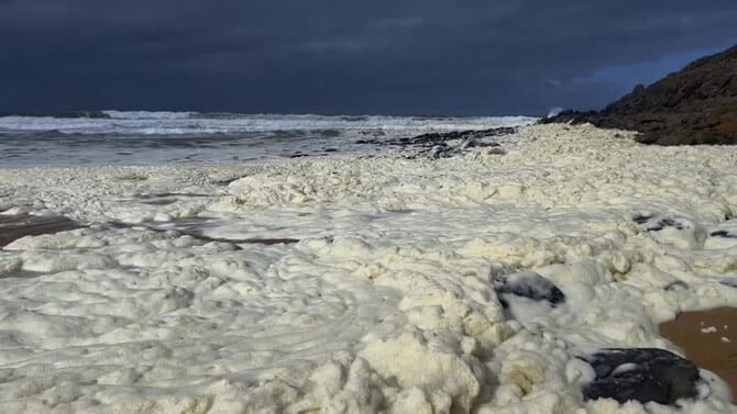 Strange foam and dead fish wash ashore at 2 Australian beaches as surfers fall sick