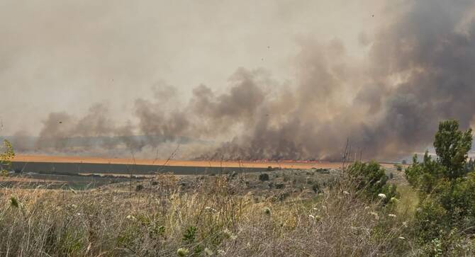 Israeli wildfires force evacuations, road closures on Memorial Day