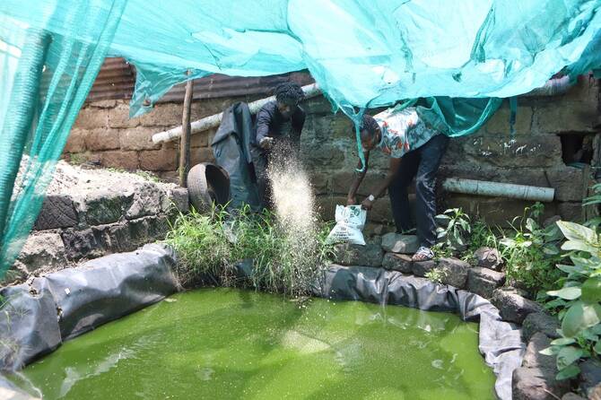 They once lived the 'gangster life.' Now they tackle food insecurity in Kenya's slums