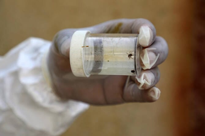 Iraq reports 19 Congo fever deaths already this year