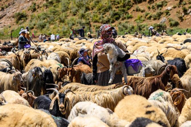 Kurdish farmers return to mountains in peace as PKK tensions calm
