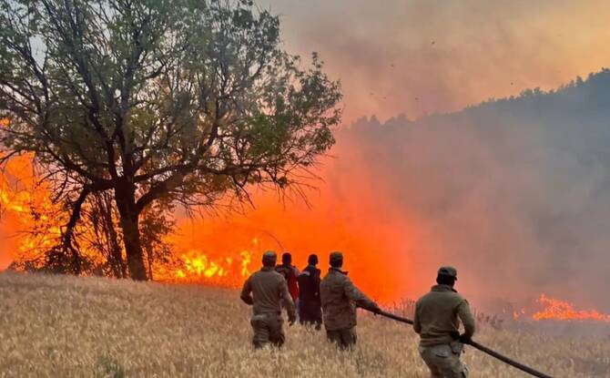 Wildfire kills 10 firefighters and rescue workers in Turkiye