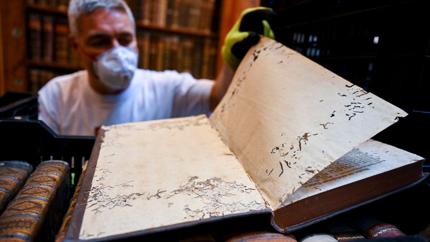 Hungary's oldest library is fighting to save 100,000 books from a beetle infestation
