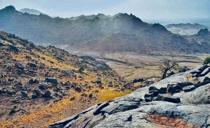 Report on the Use of Chemical Weapons by the Army In the Areas of East Sennar and Jabal Moya