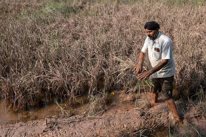 Floods devastate India’s breadbasket of Punjab