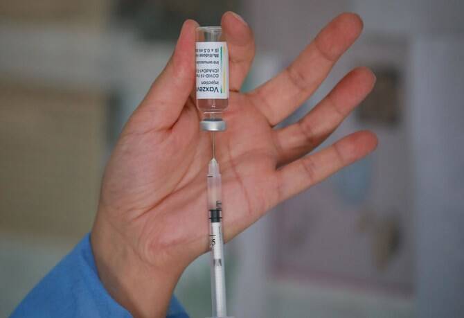 Senegal records 17 deaths in rare major outbreak of Rift Valley Fever