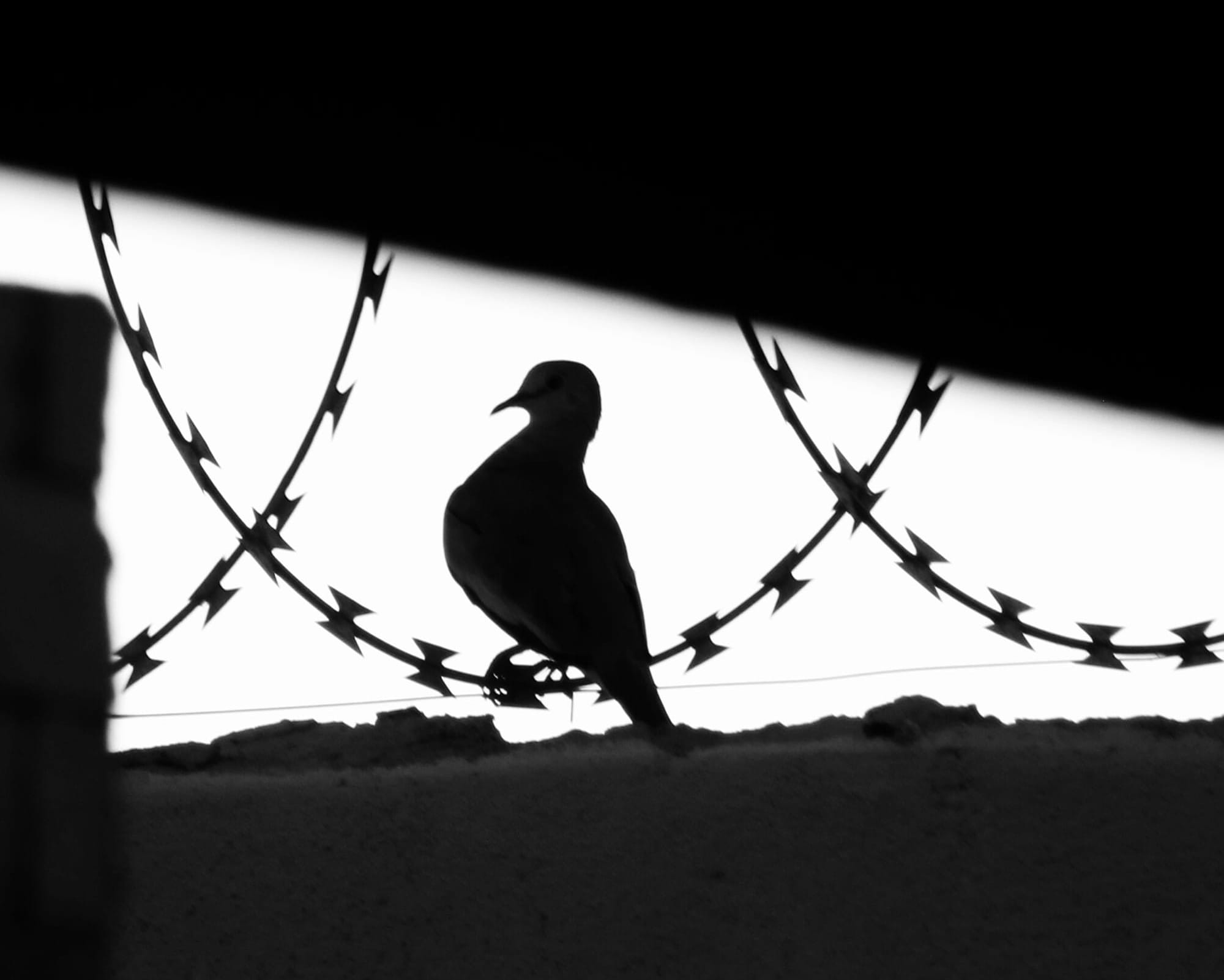 Protect the peacemakers? Supporting the Abraham Accords is a risky business