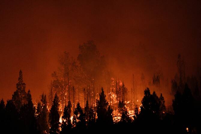 Argentina fires ravage pristine Patagonia forests, fueling criticism of Milei’s austerity